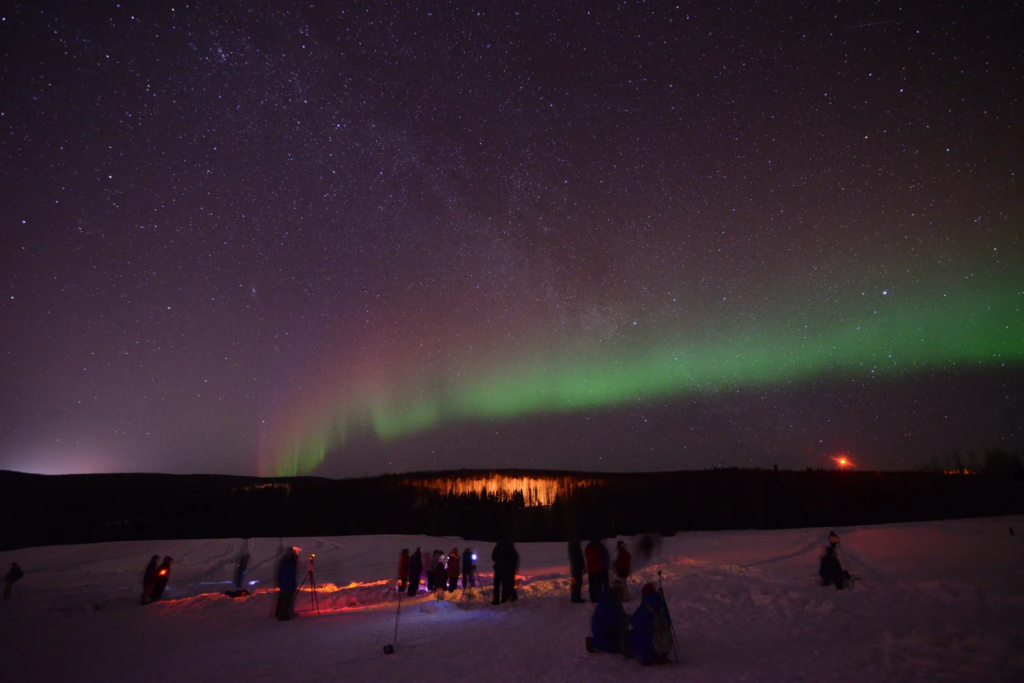 Aurora Chasers Share Their Best Backyard Sightings — And the Science Behind Them